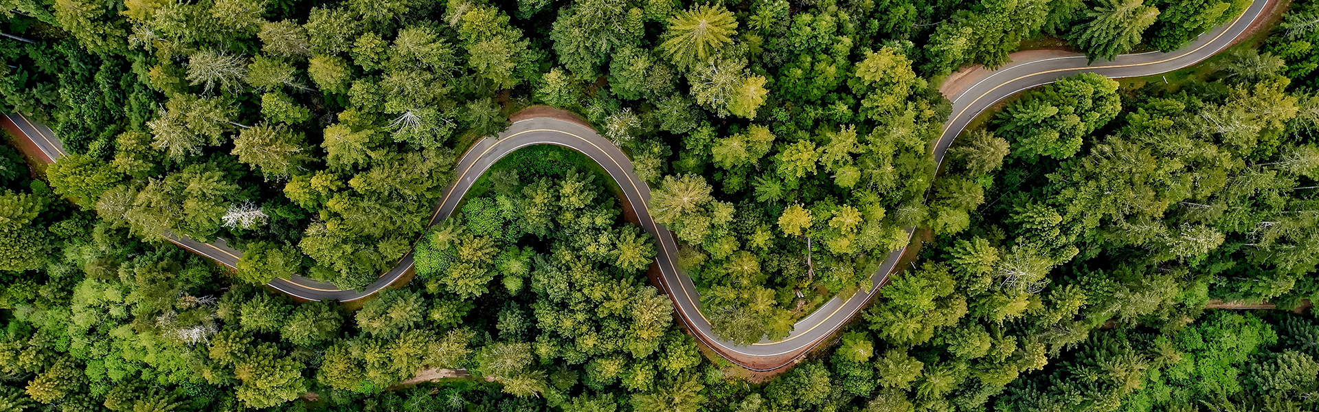 集團(tuán)公益活動